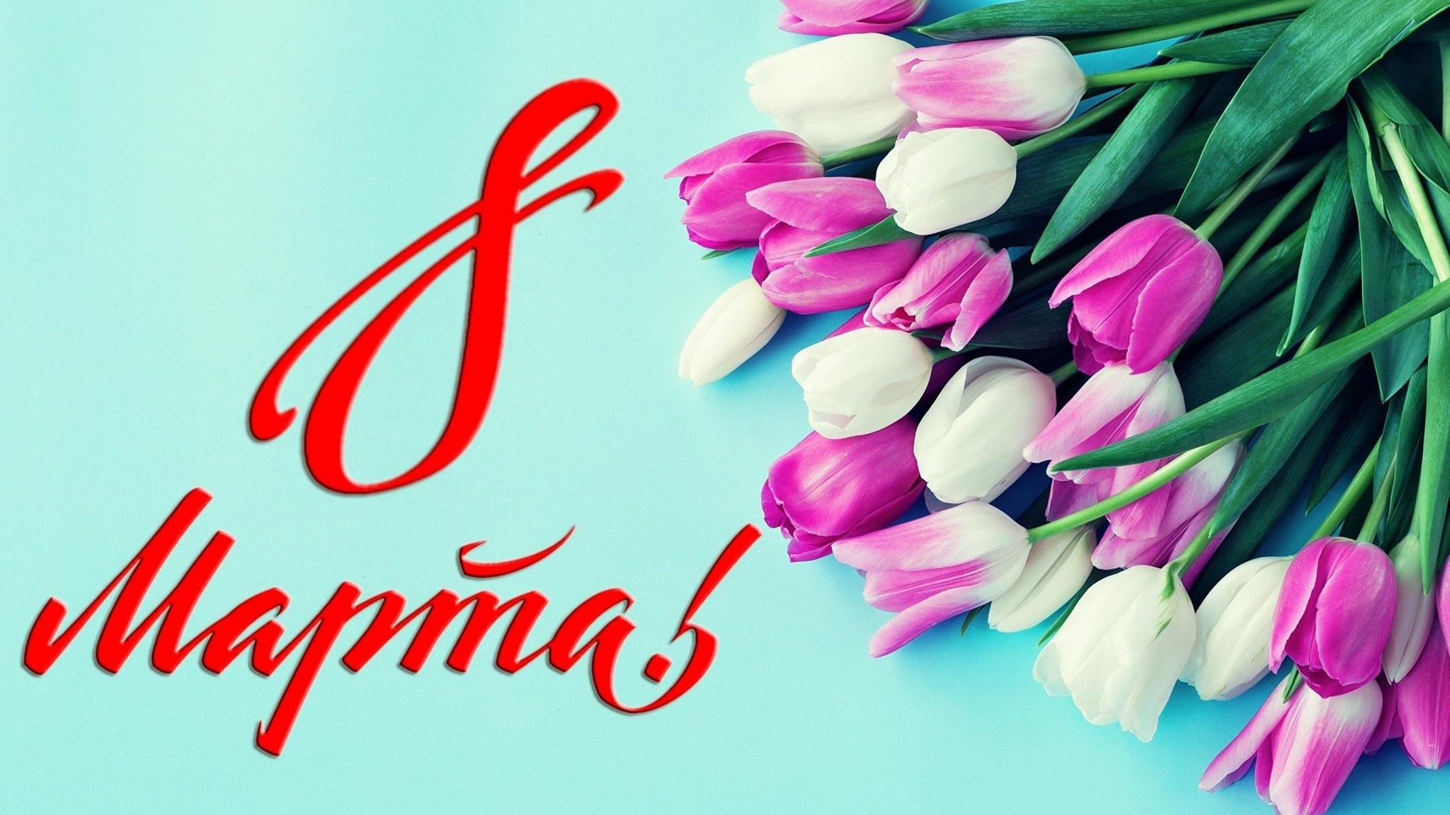 "СЕЛЬПО" запускает праздничные акции ко Дню 8 Марта!