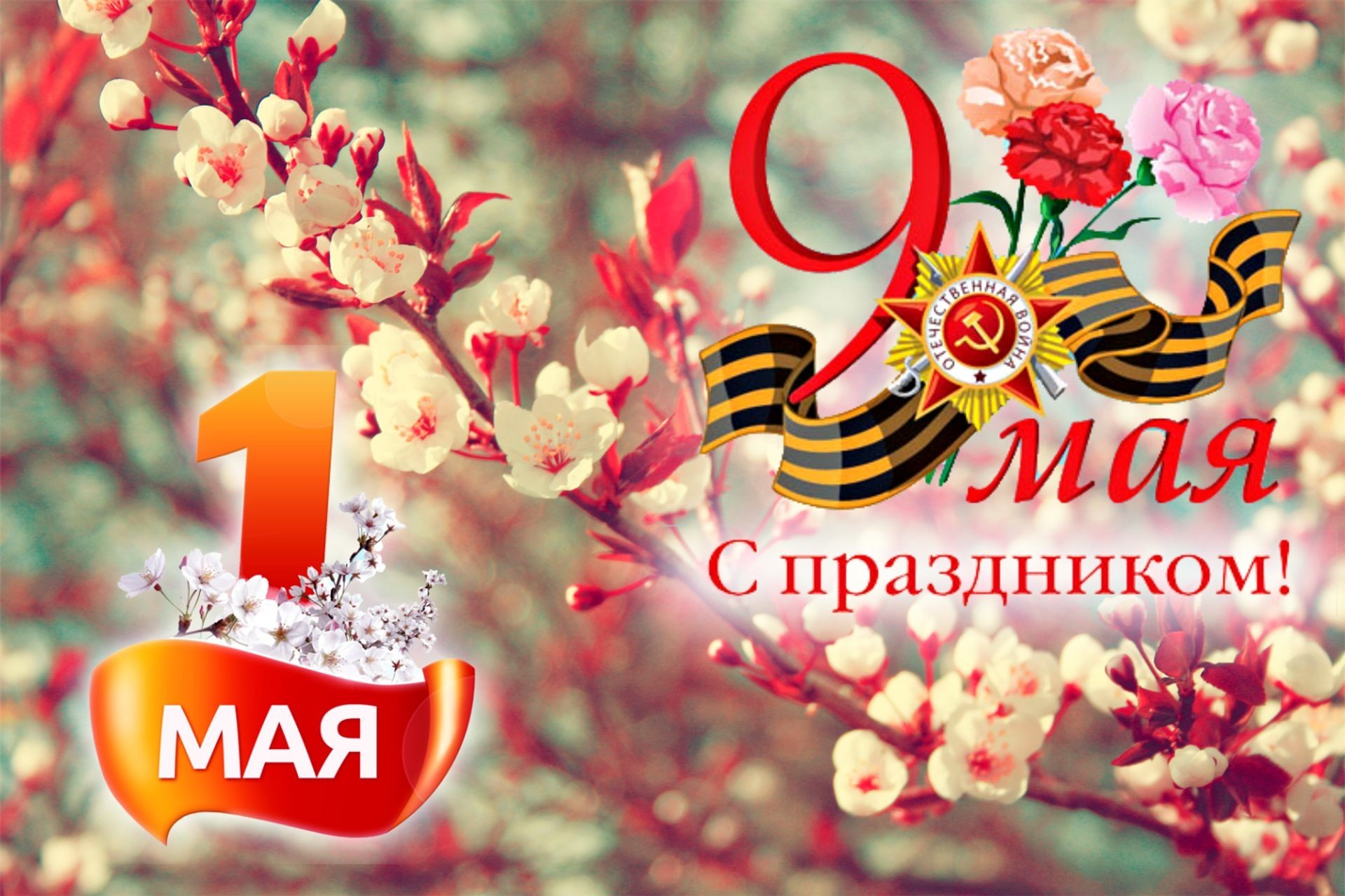 Майские праздники в "СЕЛЬПО": готовьтесь к пикникам с выгодой!